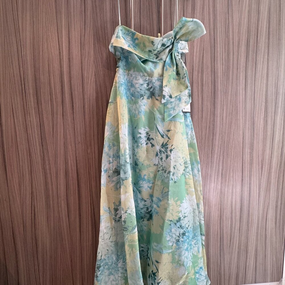 Adrianna Papell Strapless Floral Maxi Dress NWT Size 6